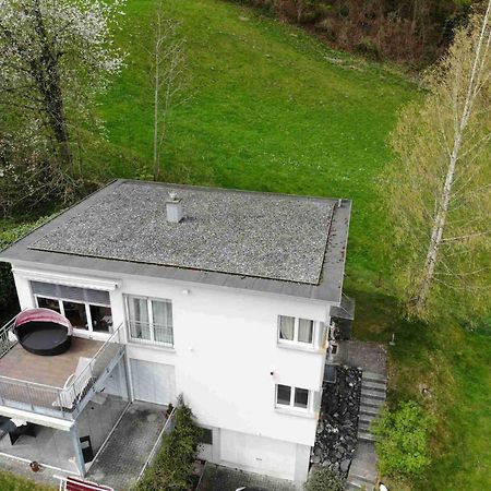 Alpen Panorama View Luxury House With Green Garden Buchs  Exterior photo