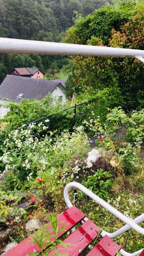 Alpen Panorama View Luxury House With Green Garden Buchs  Exterior photo